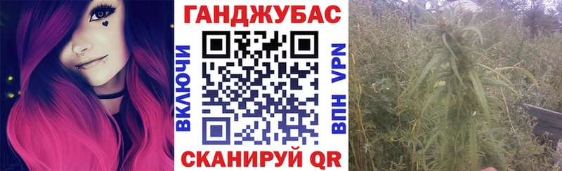 Наркошоп Кологрив kraken как зайти  ГАШИШ  СОЛЬ  Амфетамин  ЭКСТАЗИ 