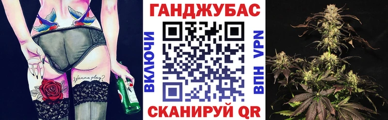 где купить наркоту  Кологрив  Каннабис гибрид 